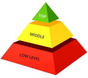 Peran Vital Middle Management dalam Organisasi: Peran, Tugas, dan Tantangan