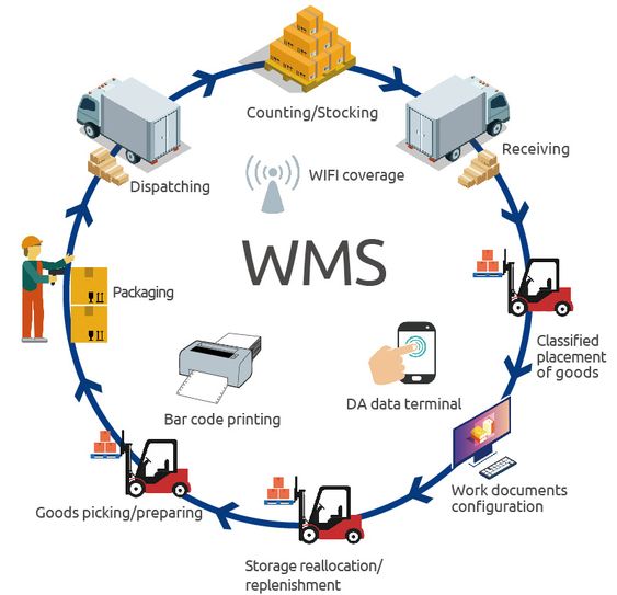 Warehouse Management System (WMS): Transformasi Operasional Gudang dalam Era Digital