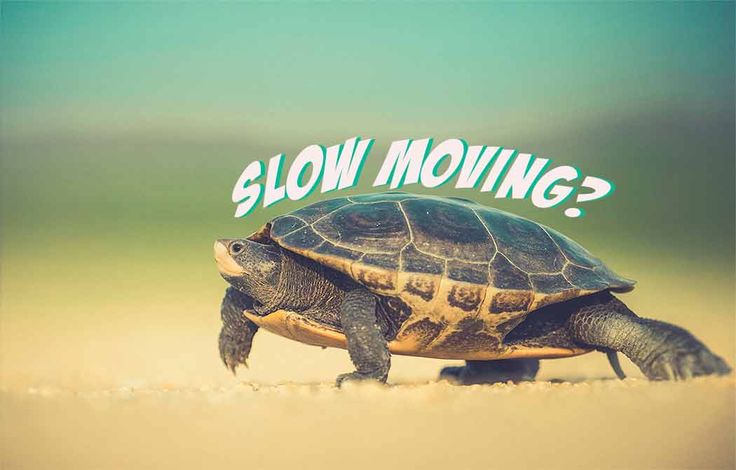 SLOW MOVING STOCK ADALAH