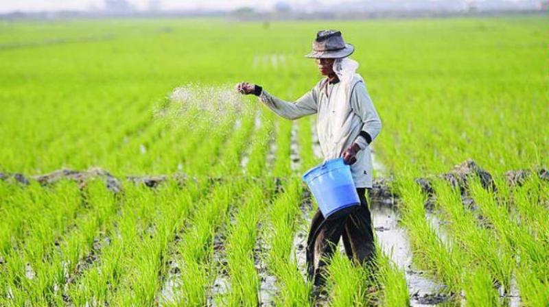 usaha meningkatkan produksi pertanian melalui intensifikasi adalah dengan cara